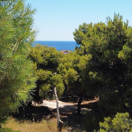 Agia Marina  Fistiki Rooms المظهر الخارجي الصورة