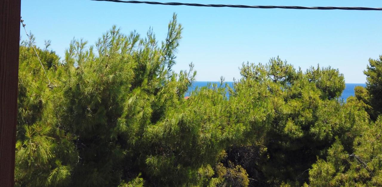 Agia Marina  Fistiki Rooms المظهر الخارجي الصورة
