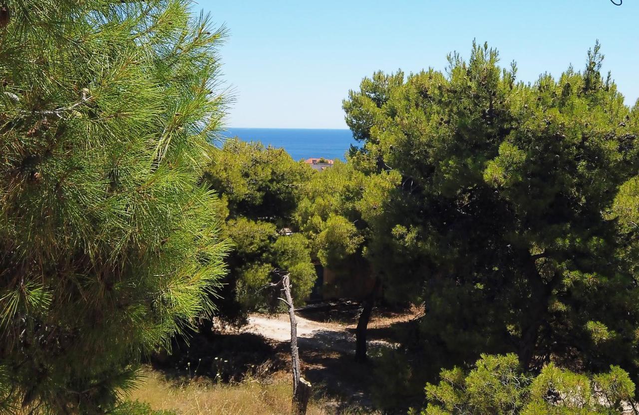 Agia Marina  Fistiki Rooms المظهر الخارجي الصورة