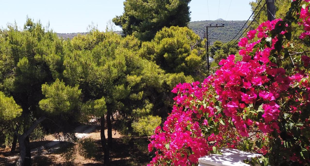 Agia Marina  Fistiki Rooms المظهر الخارجي الصورة